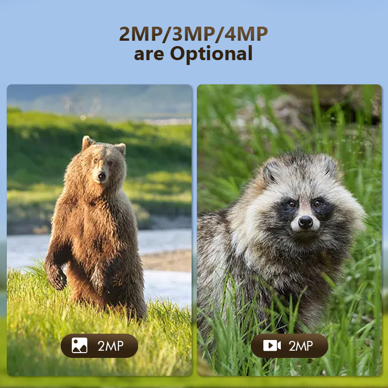 4G 4MP açık yaban hayatı avcıl - Outdoor Hunting Camera Wifi incelemesi ve fiyatı